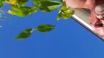 El celular cayó en el patio de una vivienda.