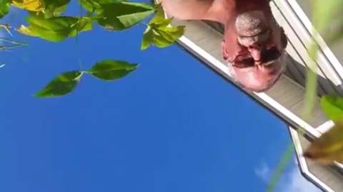 El celular cayó en el patio de una vivienda.