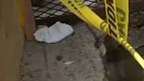 La mujer resultó lesionada al caer a seis pies de profundidad.