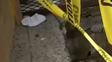 La mujer resultó lesionada al caer a seis pies de profundidad.