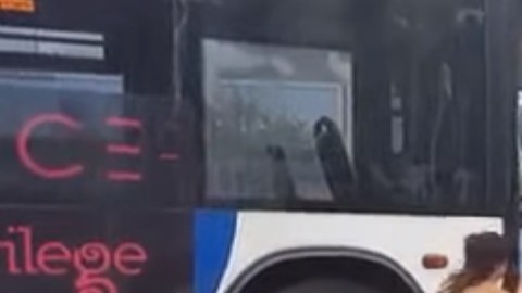 Los hechos ocurrieron en Ibiza, España.