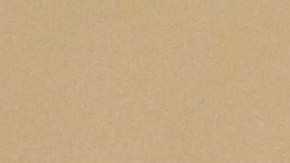 Concejales Carlos Menchaca y Ydanis Rodriguez votan dos leyes para ampliar las protecciones de los "Dreamers" tras la derogacion de DACA.