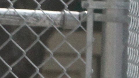 Contienda politica del Districto 8 en El Barrio y el Sur del Bronx, donde los candidatos para el concejo se miden hoy en las elecciones primarias.