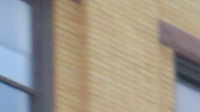 Suplemento de Mexico.