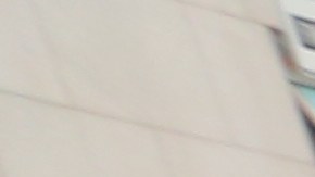 Presidenta del Concejo Melissa Mark-Viverito, Congresista de Arizona Raul Grijalva, Co Director de Make The Road, Javier Valdez, Congresista de Chicago, Luis Gutierrez, Congresista Adriano Espaillat y otros activistas fueron arrestados por desobediencia civil en frente de la Torre Trump.