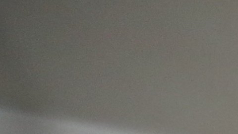 Luis Ramirez, un Dreamer no puede viajar al estado de Morello donde su madre, Silvia Barreto vive.