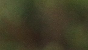 Comisionado y Juez Administrativo Fidel Del Valle y el Concejal Ydanis Rodriguez educan a los residentes sobre las multas.