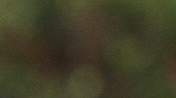 Comisionado y Juez Administrativo Fidel Del Valle y el Concejal Ydanis Rodriguez educan a los residentes sobre las multas.