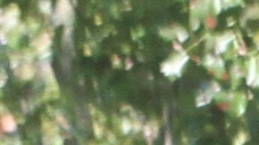 Hispanos en el area de Westchester, NY piden mas seguridad para los indocumentados.