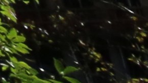 Protesta sobre la ayuda a Puerto Rico despues del Huracan Maria en el Parque de City Hall.