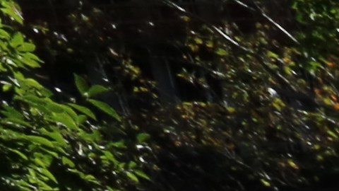 Protesta sobre la ayuda a Puerto Rico despues del Huracan Maria en el Parque de City Hall.