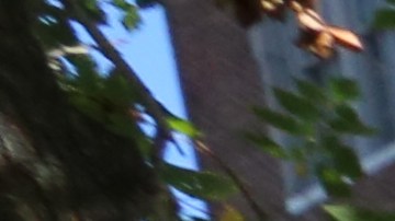 Estudiante Iliza y su padre, Marcos Tolentino. Vecinos y Padres reaccionan sobre la muerte del estudiante en la escuela del Bronx.