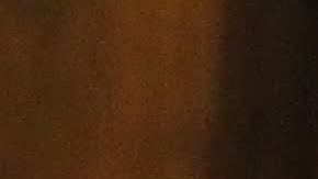 Testimonio de Britta Mostofi, Comisionada interina para las oficina del Alcalde sobre inmigracion en el Concejo.