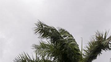 El efecto mayor de Irma en Florida se verá este domingo.