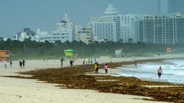 Turistas visitan la zona de South Point, donde comienza la playa de Miami Beach este sábado, antes de la llegada del huracán Irma en Miami, Florida.