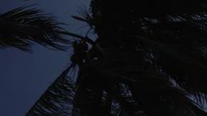 Vista nocturna de una carretera de San Juan (Puerto Rico) previo a la llegada del huracán María .