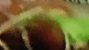 La Policía acudió a atender el ataque.