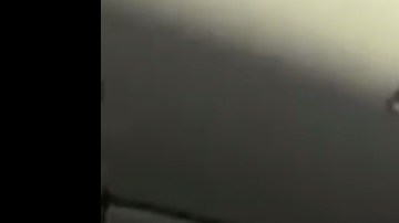 La mujer dijo ser profesora.