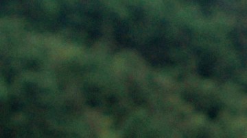 Dreaming Up North: Children on the Move Across the Americas