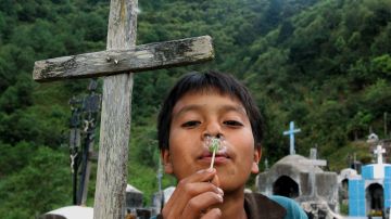 Dreaming Up North: Children on the Move Across the Americas
