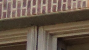 La puertas del Urban Assembly School for Wildlife Conservation. volvieron a abrirse el jueves por la mañana.