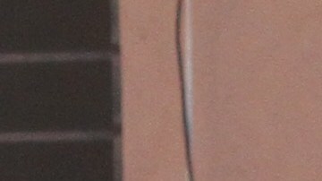 La tragedia ocurrión en Urban Assembly School for Wildlife Conservation.