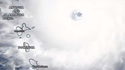 Roddie estudió imágenes de la NASA en la herramienta interactiva Worldview.