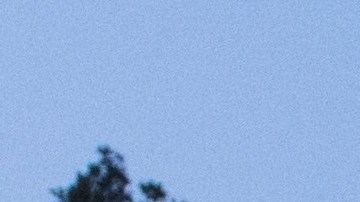 Los conflictos crecen en la Casa Blanca.