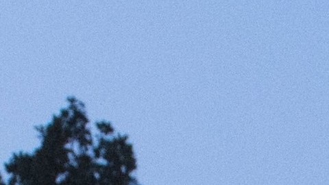 Los conflictos crecen en la Casa Blanca.