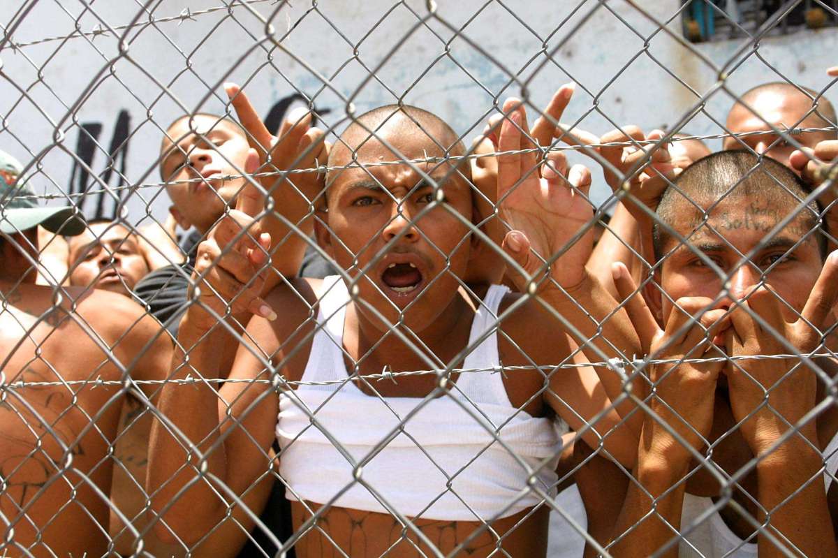 Modern Drama Studies: An Annual Bibliography, image size:1200x799