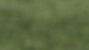 Sofia Huerta con el Adelaide United.  Morne de Klerk/Getty Images