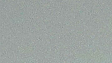 El presidente Trump tiene alto aprecio por su yerno Jared Kushner.