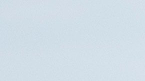 Los agentes cuidad a Trump Jr. y a su familia.