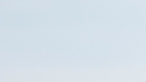 Los agentes cuidad a Trump Jr. y a su familia.