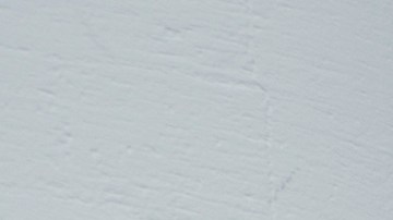 El presidente olvidó colocar su mano en el pecho.