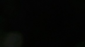 Steve Bannon fue asesor en jefe del presidente Trump.