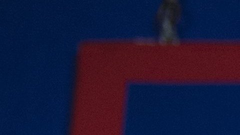 El ajuste formaría parte de la orden ejecutiva "Compra americano, contrata americano".