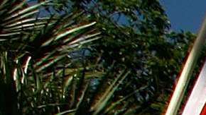 California, Texas y Florida son los estados con mayor número de hispanos