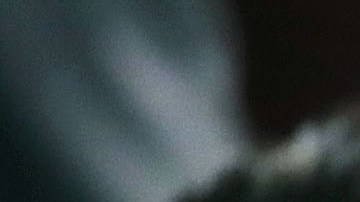 Jared Kushner no está registrado como mujer en la base de datos electoral neoyorquina.