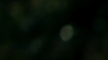 Eric y Lara Trump ya son padres.