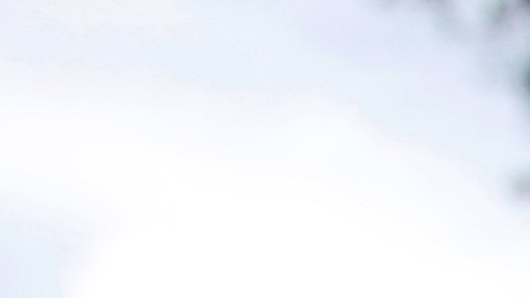 La compra de víveres adecuados puede ser parte del plan.