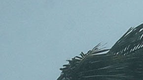 Powerful Hurricane Irma Slams Into Florida