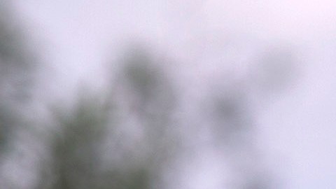 Activistas luchan por la protección de los jóvenes DACA.