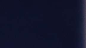 La portavoz de la Casa Blanca habló de