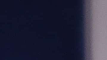 La portavoz de la Casa Blanca habló de