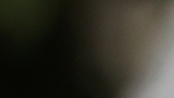 Al presidente Trump le gusta poner apodos.