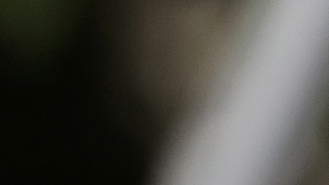 Al presidente Trump le gusta poner apodos.