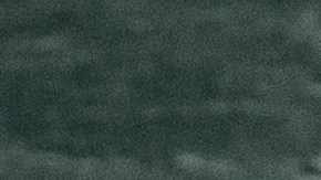 La reunión del presidente Trump con los rusos en la Casa Blanca está bajo investigación.