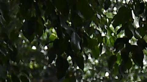 En la CDMX se colapsaron al menos 20 edificios.