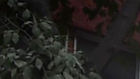 Miles de personas salieron a las calles a ayudar a atrapados en edificios colapsados en México.